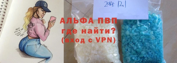 индика Белоозёрский