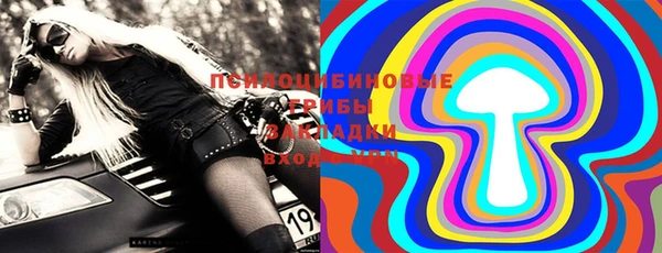 шишки Майский