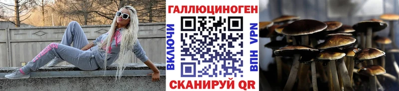 Псилоцибиновые грибы Psilocybine cubensis  мега tor  Михайловск 