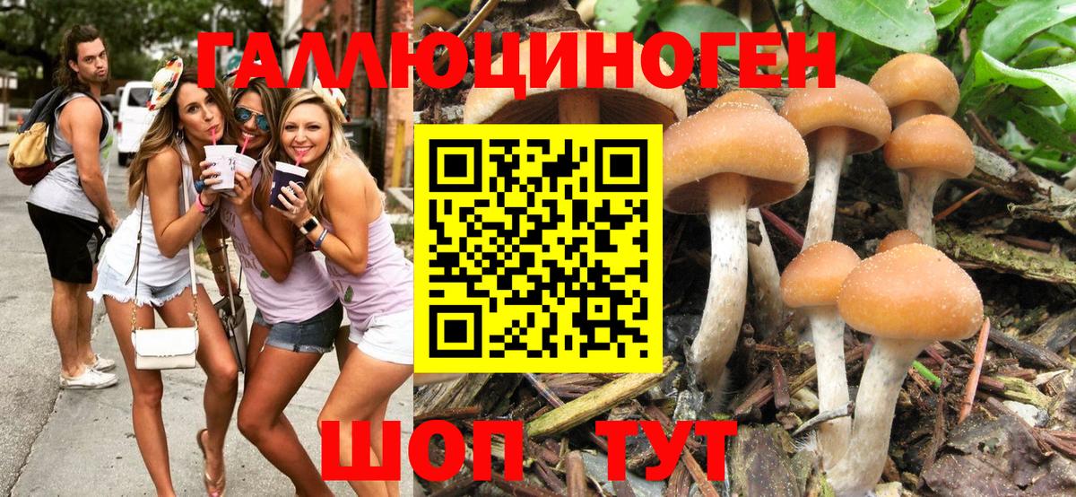 Галлюциногенные грибы мухоморы Михайловск