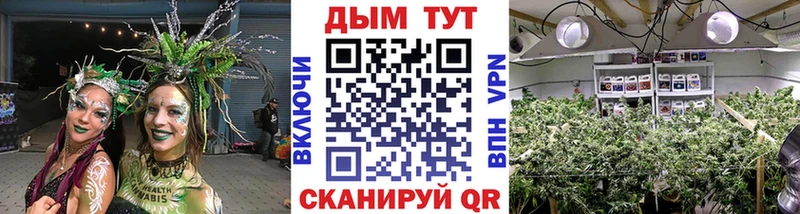 Бошки Шишки SATIVA & INDICA Михайловск